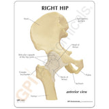 Basic Hip Education Card