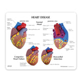 3-Piece Mini Heart Set Education Card