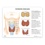 Thyroid Model Set