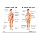 Thyroid Model Set