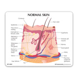 Skin Acne Education Card