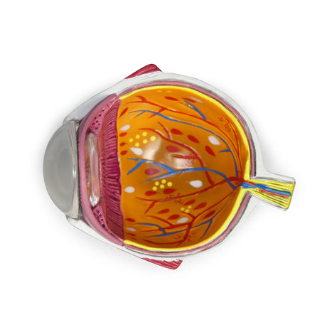 Hypertension Model Set