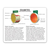 4-Piece Diabetes Education Card