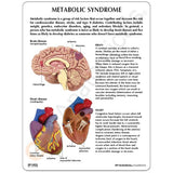 Metabolic Syndrome Education Card