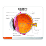 Eye Education Card