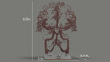 Circle of Willis (Circulus Arteriosus Cerebri)