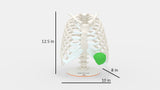 Chest Wall Tumor