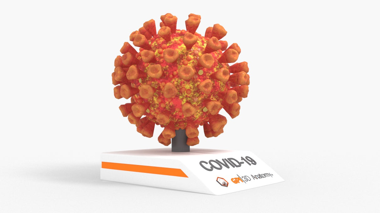 COVID-19 Virus (SARS-CoV-2)