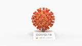 COVID-19 Virus (SARS-CoV-2)