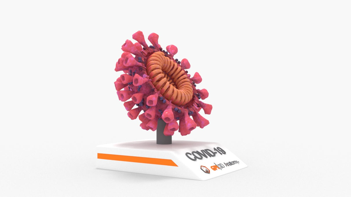 Half COVID-19 Virus (SARS-CoV-2)