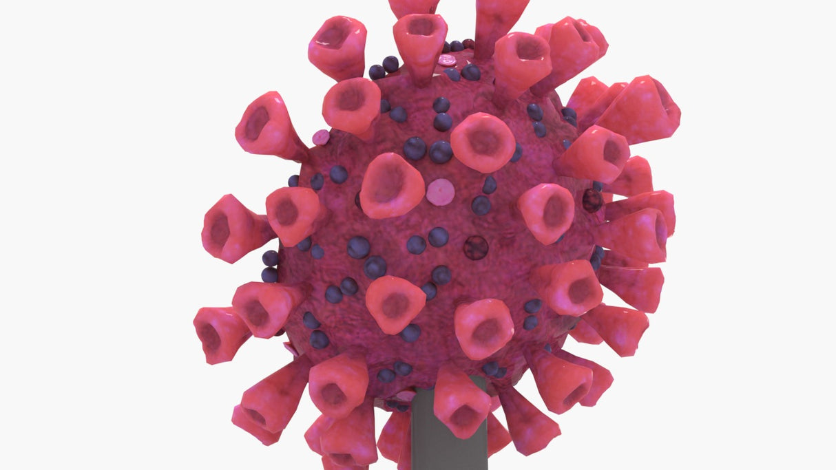 Half COVID-19 Virus (SARS-CoV-2)