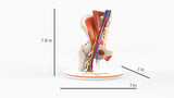 Normal Female Hemipelvis - Female, 53 Years